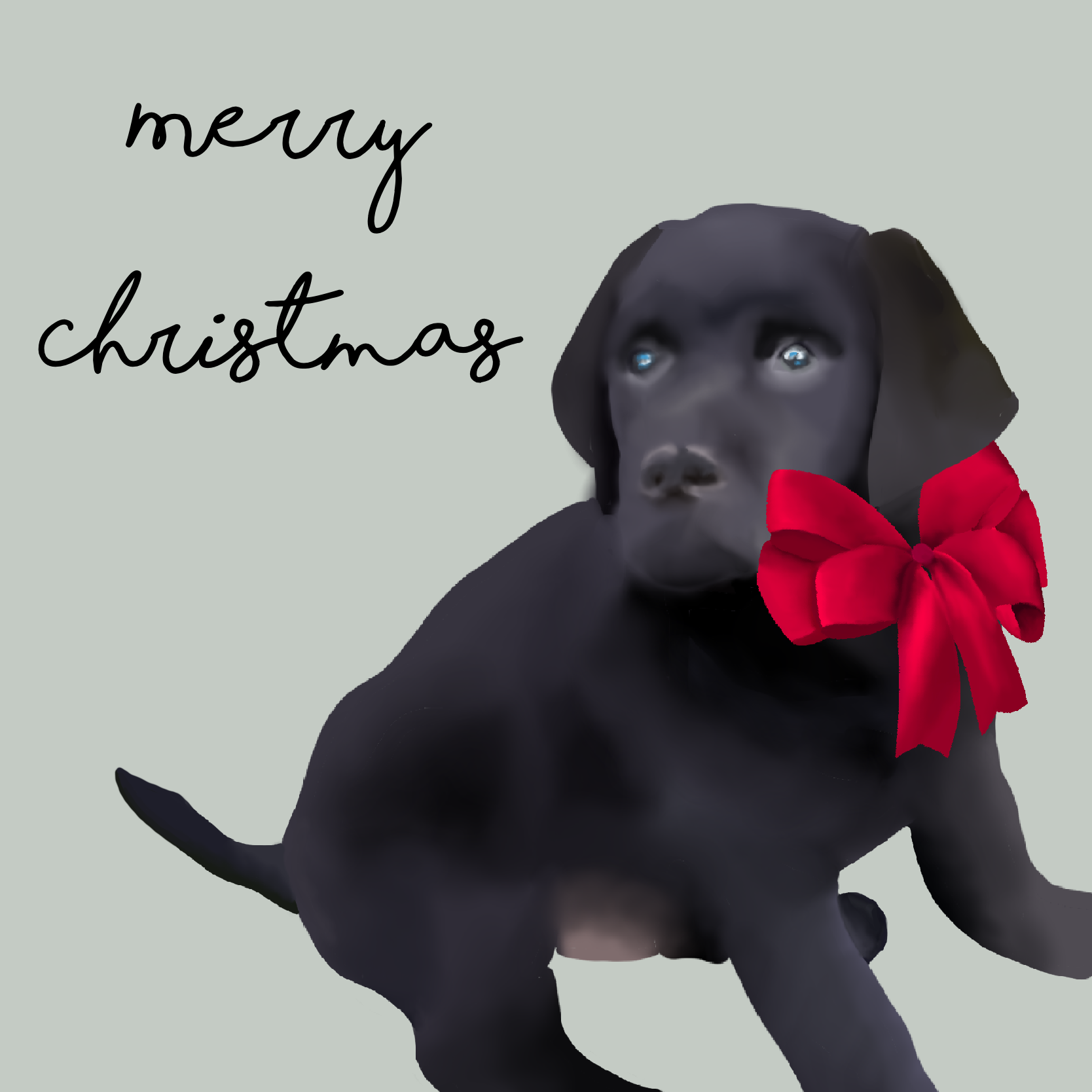 Christmasdog creative work