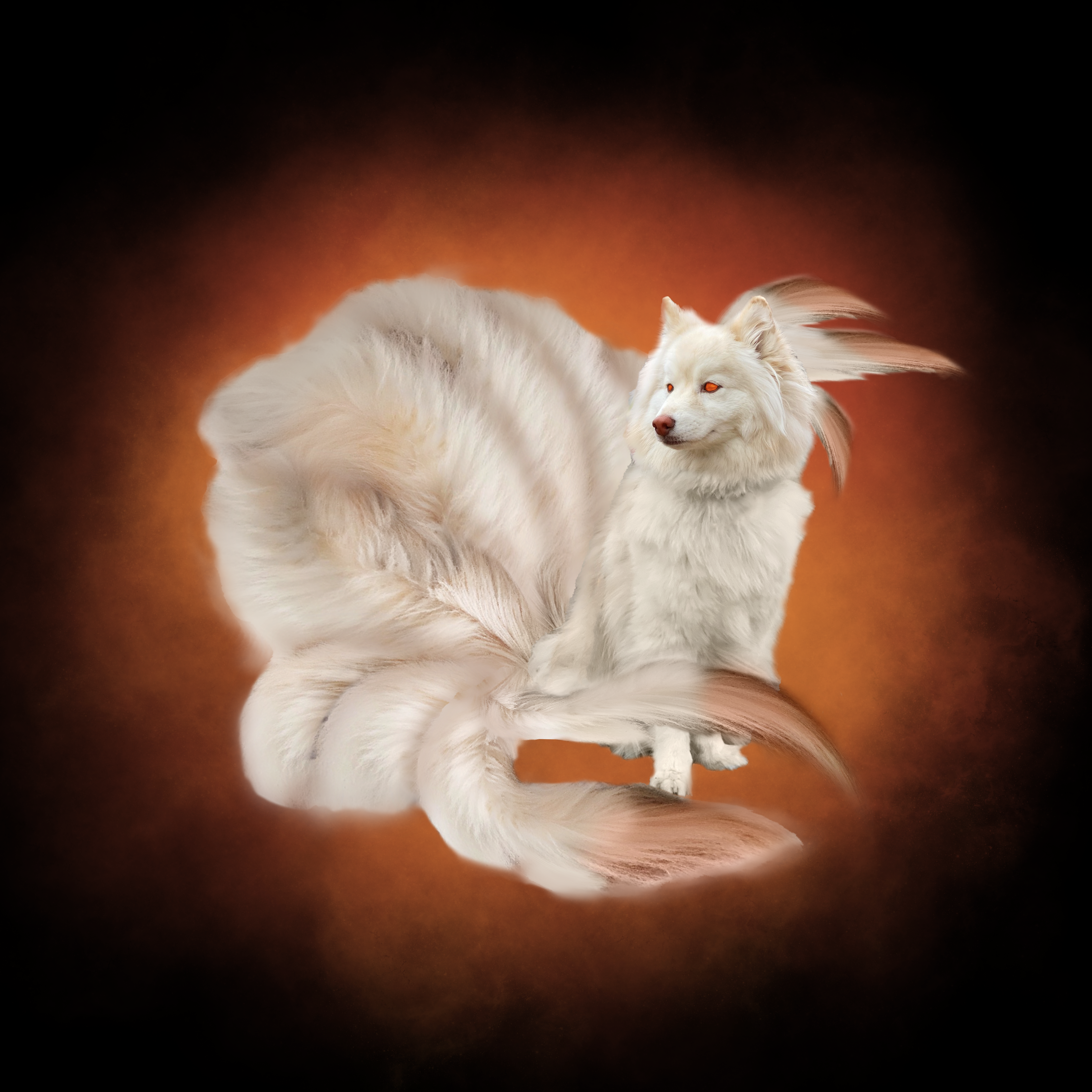 Kodapokemon creative work
